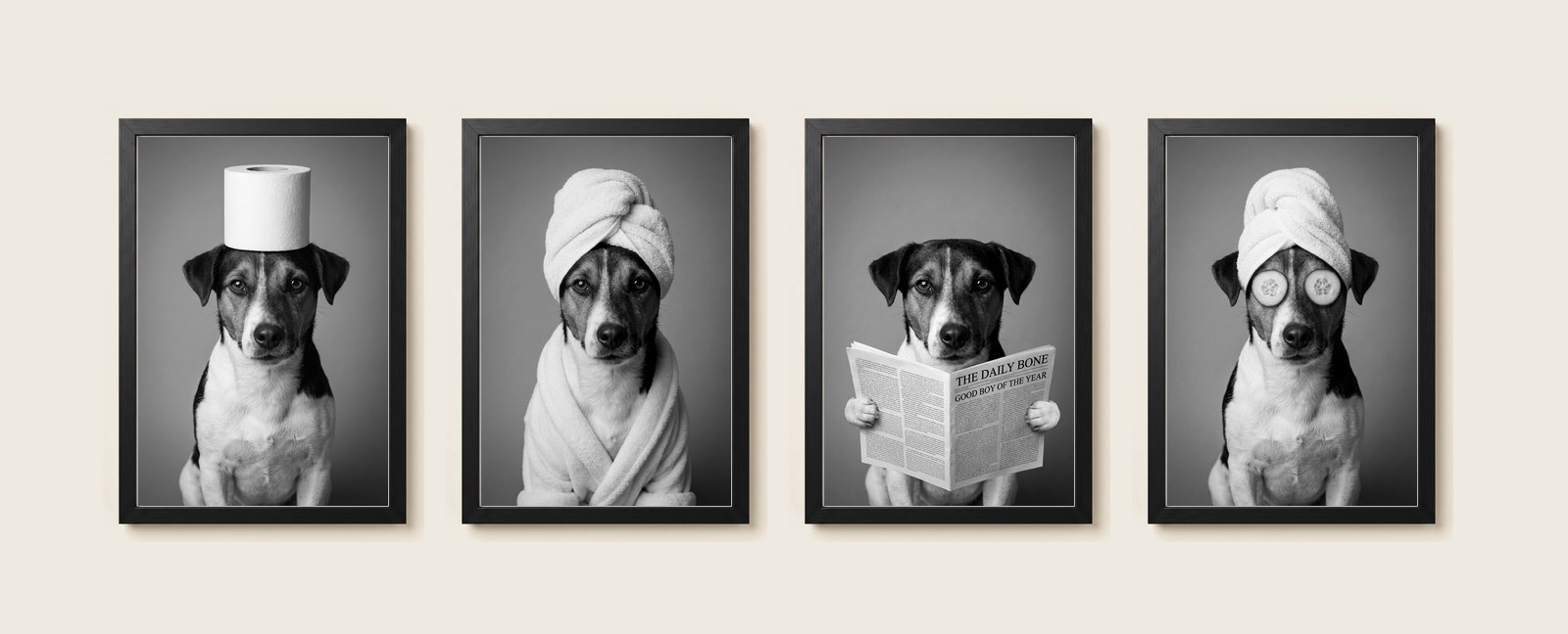 4 ritratti in bianco e nero dello stesso cane, con cornice nera: il rotolo in testa, il turbante, il giornale e i cetrioli sugli occhi