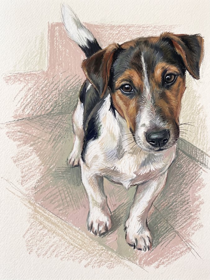 Ritratto di un cane in stile Pastello, esempio FaunoArt